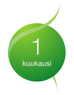1 kuukausi