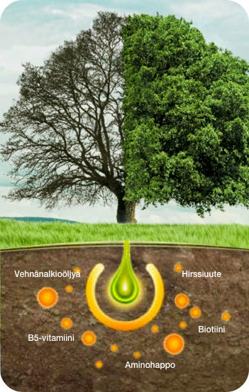 Puu hiusvitamiineilla ja ravintoaineilla