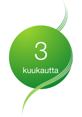 3 kuukautta